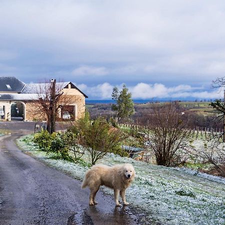 Pesaulhe Bed and Breakfast Monein Exteriör bild
